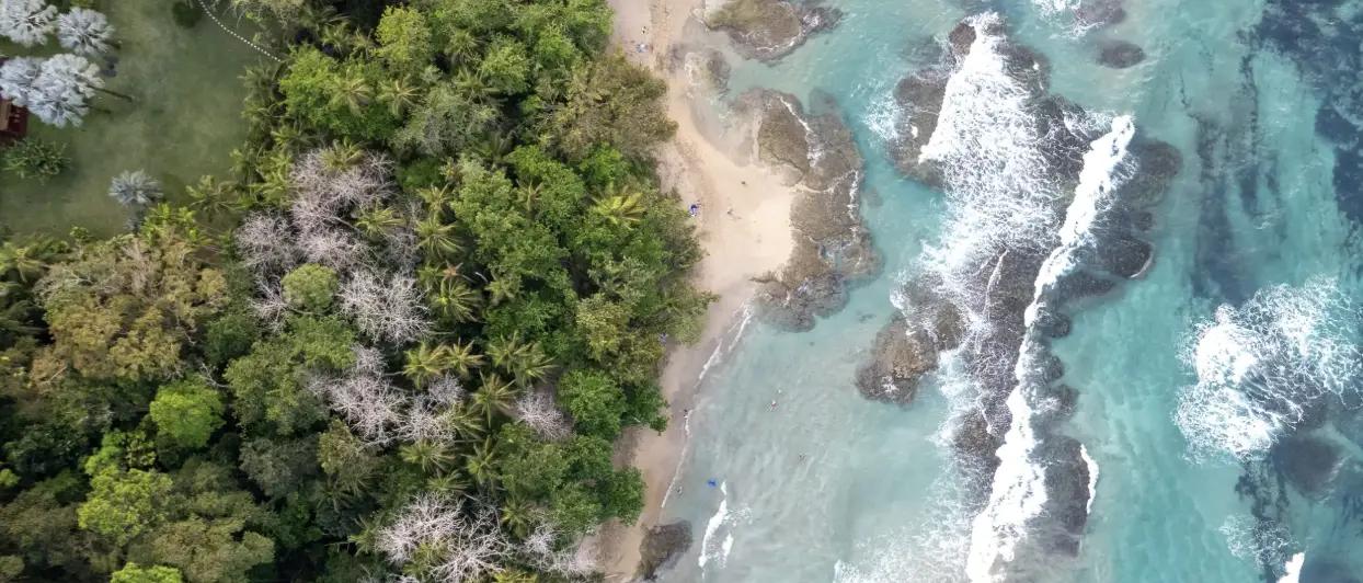 Naturaleza - Ventana